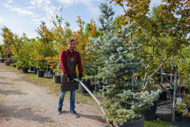 Best Storm Damage Tree Cleanup  in Viroqua, WI